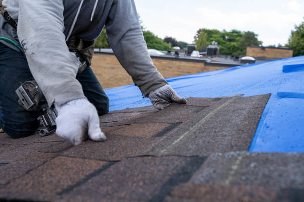 Best Metal Roofing Contractor  in Fort Belvoir, VA